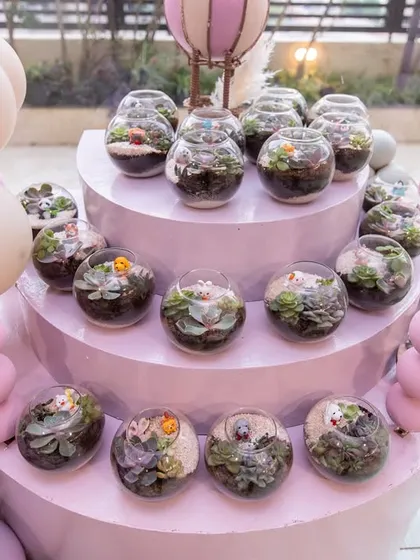 The full display of terrarium favors, arranged on a tiered stand and surrounded by soft pastel balloons.