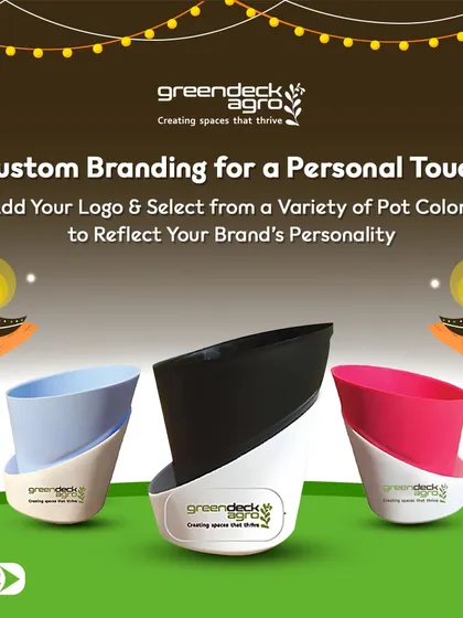 I offer custom branding for a personal touch on all corporate gifts. You can add your logo and select from a variety of pot colors to reflect your brand's unique personality.