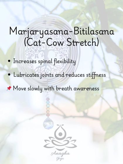 Anagha Yoga - Therapeutic Yoga Relief for Chronic Pain & Spine Health photo 21