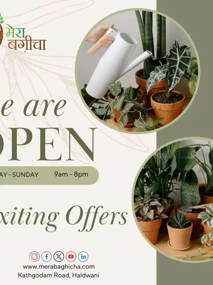 We are open seven days a week, from 9 am to 8 pm. This graphic announces our store hours and promises exciting offers for everyone who walks in.