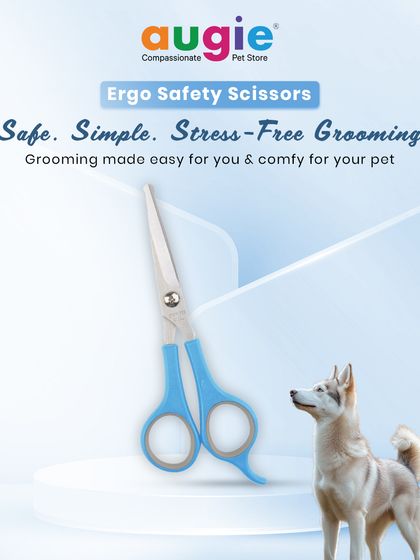 Augie Pets - Pet Supplies Spa Day at Home: Gentle Grooming Essentials photo 37