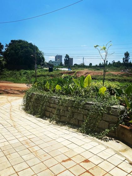 A view of a completed landscape project, showing a stone retaining wall covered in creepers next to a paved area. This image exemplifies our philosophy of blending hardscape and softscape elements.
