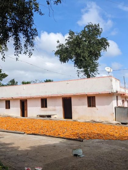 Corn cobs drying in the sun outside a village house. Our tours are a feast for the senses, full of the sights and sounds of the countryside.