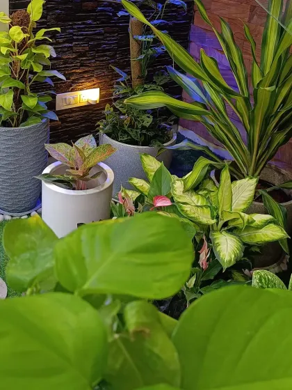 A close up view of a cozy balcony garden we designed. We combine artificial grass with natural stone pavers, pebbles, and a variety of potted plants to create a rich, textured, and serene personal retreat.