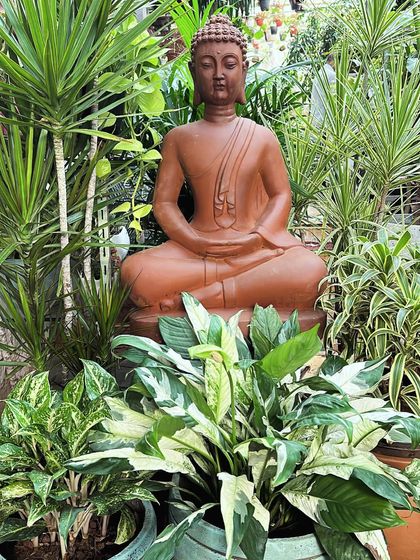Zen & Tranquil Gardens photo 4