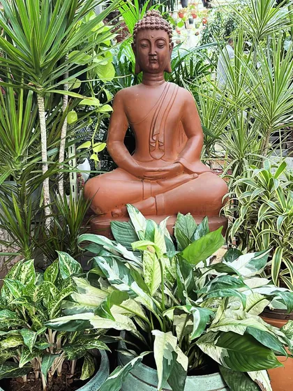 A beautiful concrete Buddha statue surrounded by lush greenery. I often use statues as a focal point in garden designs to instill a sense of peace and contemplation.
