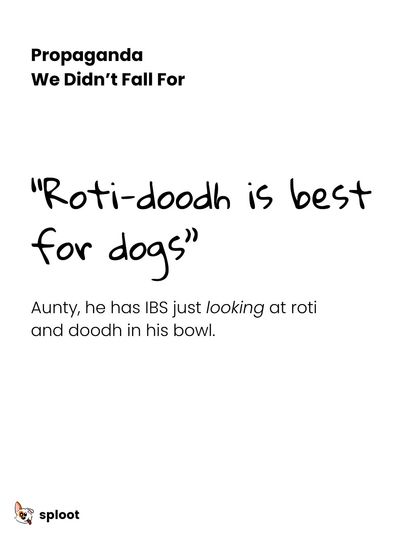 We're debunking common myths. The idea that "Roti-doodh is best for dogs" is one piece of propaganda we did not fall for. Many dogs are lactose intolerant and need much more protein than that.