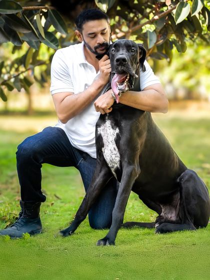 The pure, unconditional love between a man and his Great Dane. This outdoor portrait captures a quiet moment of connection and companionship under the shade of a tree.