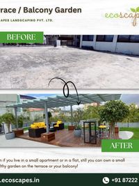 Urban Gardening & Green Walls