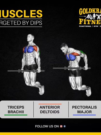 Dips are a powerful bodyweight exercise that targets multiple muscles. They are fantastic for building your triceps, anterior deltoids (front shoulders), and pectoralis major (chest).