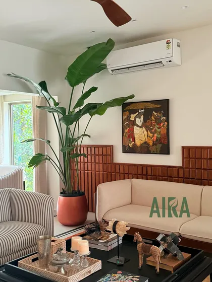 A single, well-placed Bird of Paradise plant can transform an entire living room. I work with clients to select the perfect indoor plants and planters that complement their interior design and thrive in their home's environment.