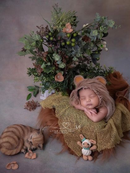 Welcome to the world, little king of the jungle! This lion-themed setup, complete with a friendly cat companion, is perfect for a fierce but cuddly newborn.