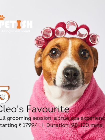 Petish Grooming - Mobile Grooming for Dogs & Cats Our Grooming Packages photo 11