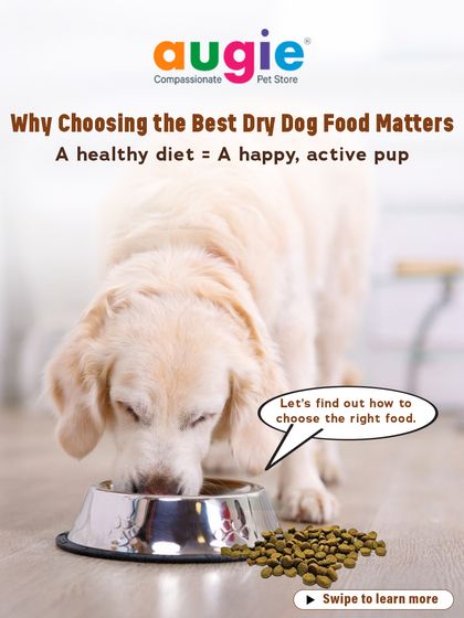 Augie Pets - Pet Supplies Fuel for Happy Hounds: Wholesome Dog Nutrition photo 10