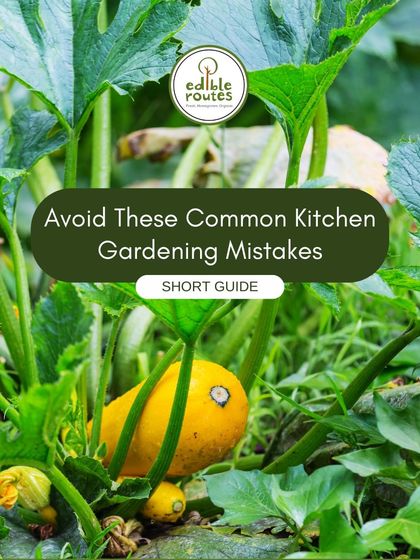 This short guide helps new gardeners avoid common mistakes. Learning what not to do is just as important as learning what to do.