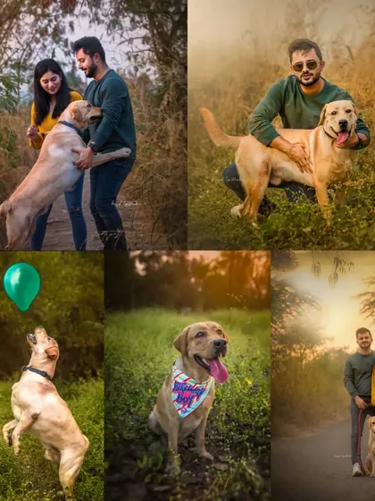 A collage from a fun-filled first birthday photoshoot for a lovely Labrador named Amigo. These sessions are all about capturing the playful personality of your pet, from action shots with balloons to happy portraits with their family.