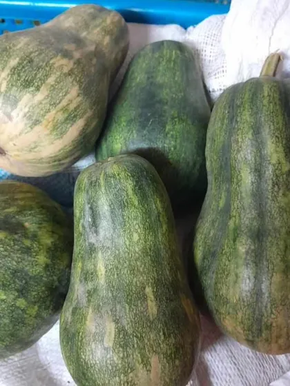 Organic Naga pumpkin, sourced for its sweet flavour and firm texture. We use it in our curries and boiled preparations.