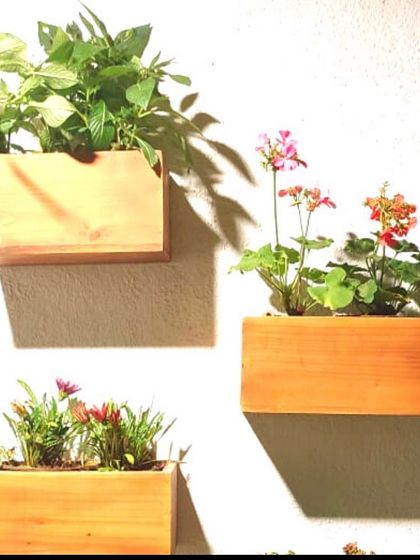 Treemendous - Interior & Exterior Plantscaping Creative Planter & Decor Ideas photo 6