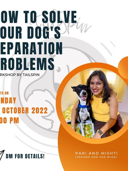 TailSpin - Dog Behavior Modification & Obedience Training My Muse & My Mission photo 3