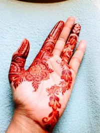 Organic Henna Cones