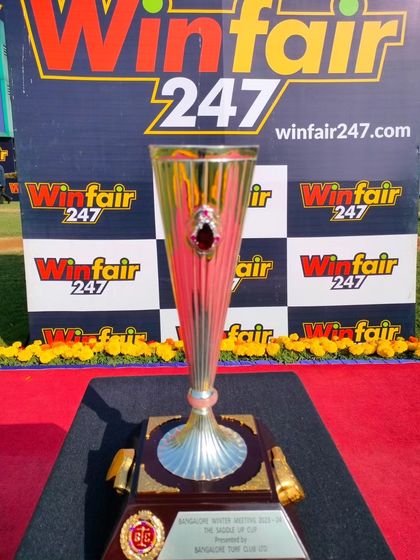 The Saddle Cup, a uniquely shaped trophy with a ruby accent.