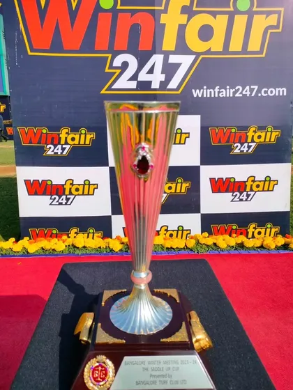 The Saddle Cup, a uniquely shaped trophy with a ruby accent.