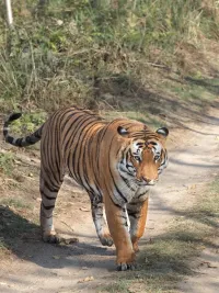 Photography Workshops & Walks