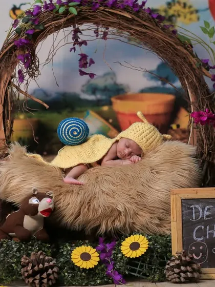 A full setup of a newborn snail theme, complete with a personalized chalkboard for "Devarth." The background is reminiscent of the Hundred Acre Wood.