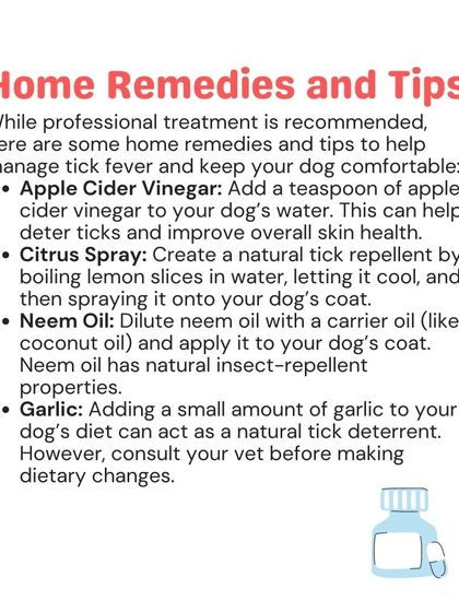 Woofly - Home Veterinary Services Parasite Prevention: Ticks, Fleas & More photo 12