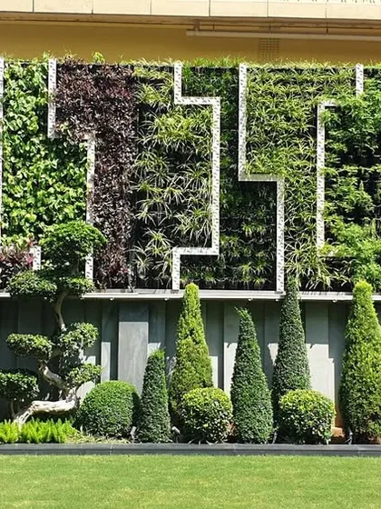An elaborate vertical garden wall featuring a complex geometric pattern and a diverse palette of plants. This living wall serves as a stunning backdrop for a collection of manicured topiary, showcasing our expertise in intricate softscaping.