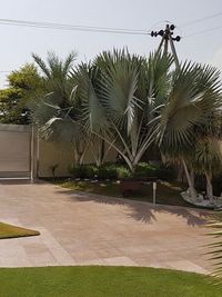 Landscape Design & Installation