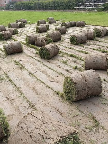 A collection of freshly prepared grass carpet rolls. The thick layer of soil attached ensures the roots stay healthy during transport.