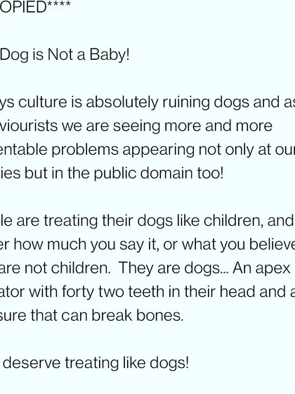 My philosophy is simple: Honour The Dog. Treating a dog like a human baby is a disservice to them and creates behavioral problems. They are magnificent animals who deserve to be treated with respect for what they are.