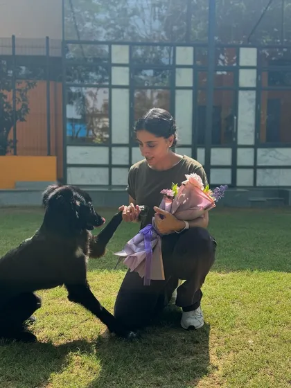 A gentle paw shake with Shifu. He's a brave and handsome boy.
