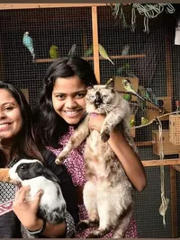 Home Boarding for Small Pets