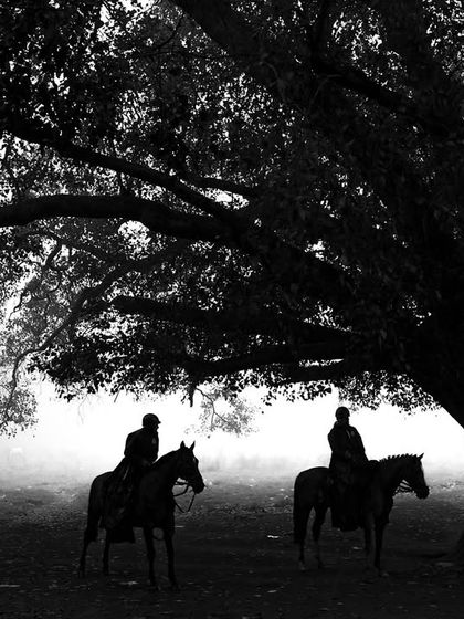 Two horsemen are silhouetted under a large tree in the misty Kolkata Maidan. The black and white treatment gives the scene a classic, timeless feel.