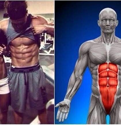 Abs are made in the kitchen and the gym. This visual shows the connection between a lean diet, targeted exercise, and the visible abdominal muscles we all work for.