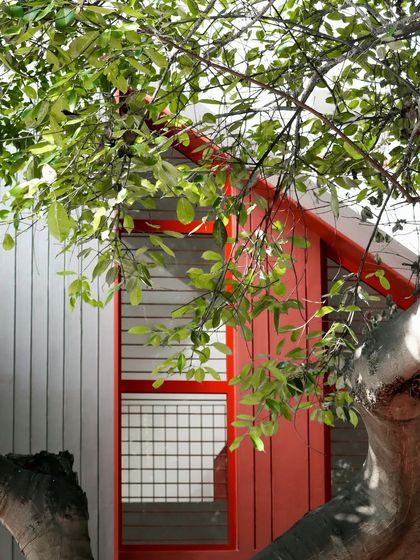 A close-up of the renovated facade, where the vibrant red window frames and screens peek through the leaves of an existing tree. This shows our approach of integrating new designs with the natural context of the site.