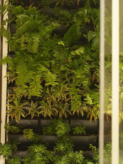 Vertical Gardens & Living Walls photo 8