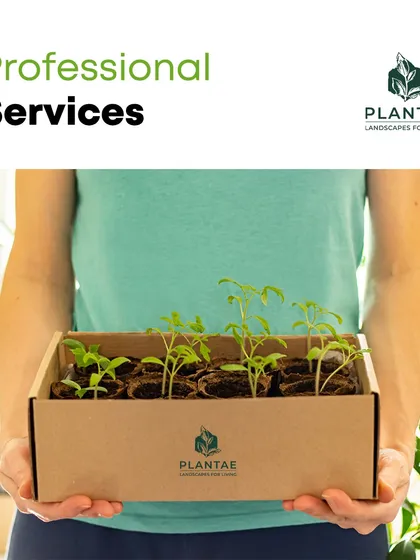 I offer professional services that cover every aspect of plant care, from providing healthy seedlings to designing and maintaining entire landscapes. My approach is to make gardening accessible and successful for everyone.