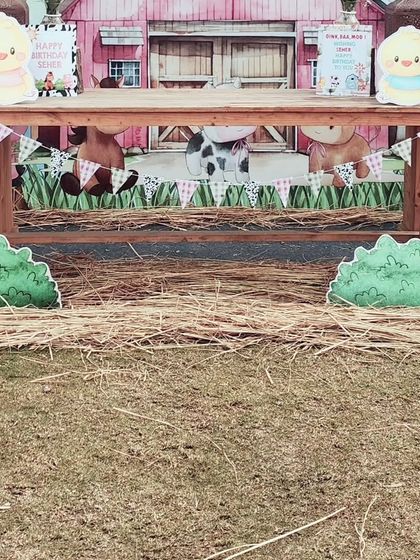 Charming Farm-Themed Birthdays photo 3