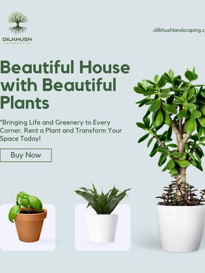 Whether you choose to buy or rent, our goal is to bring life and greenery to your space. We help you select the perfect plants to transform your home or office.