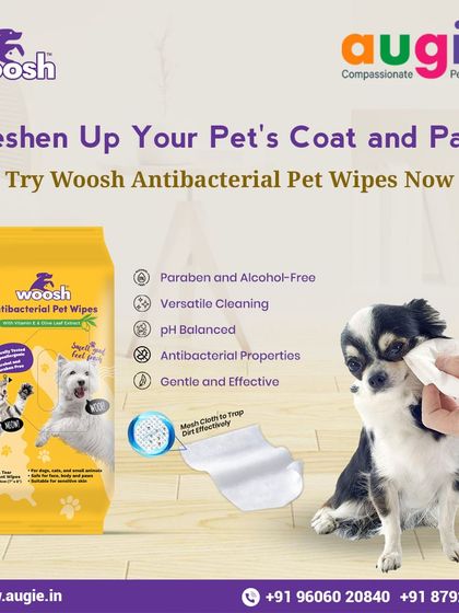 Augie Pets - Pet Supplies Spa Day at Home: Gentle Grooming Essentials photo 56