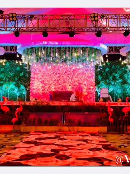 A vibrant and playful stage setup featuring a wall of pink flowers and fun flamingo props. The colorful lighting and unique elements make it a great spot for photos.