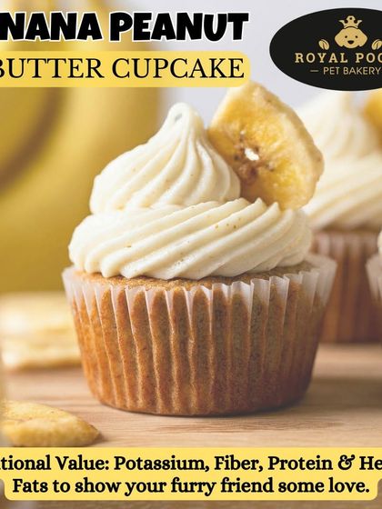 This is my Banana Peanut Butter Cupcake, a fan favorite! It's packed with the nutritional value of potassium, fiber, and healthy fats from real bananas and my own pet-safe peanut butter.