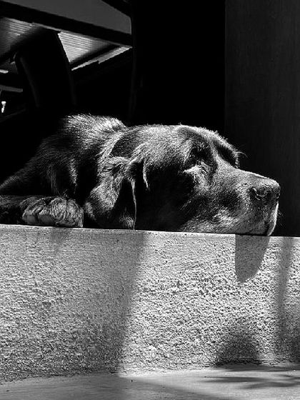 Studio XS - Architectural Design The Studio Playbook & Office Life photo 3