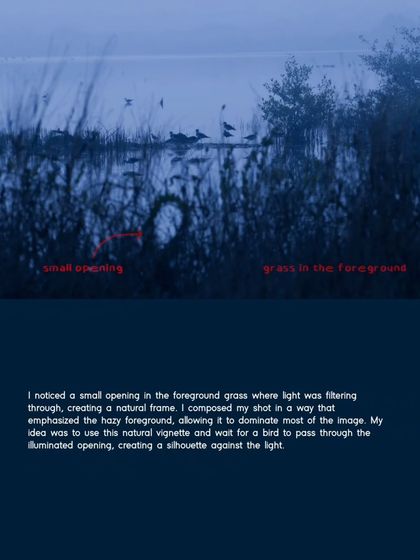 The Art of the Shot: Composition & Creativity photo 4