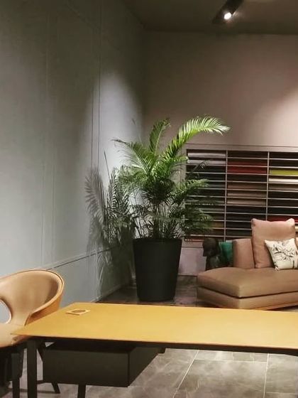 Indoor & Vertical Plant Styling photo 4