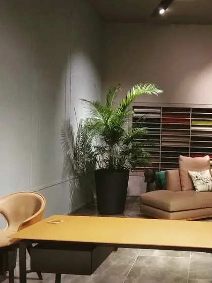 An Areca Palm in a sleek black metal planter adds life and a natural element to this modern office space. We help select the right plant and planter combination to match your interior design.