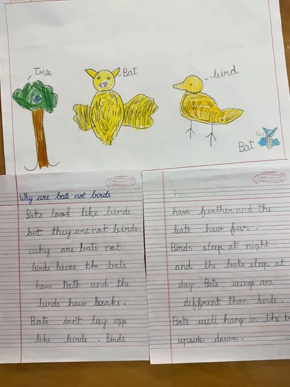 This piece shows the beautiful integration of learning. A child first researches and understands a topic, then expresses that knowledge through both detailed illustration and written sentences, showcasing comprehension, creativity, and developing language skills.